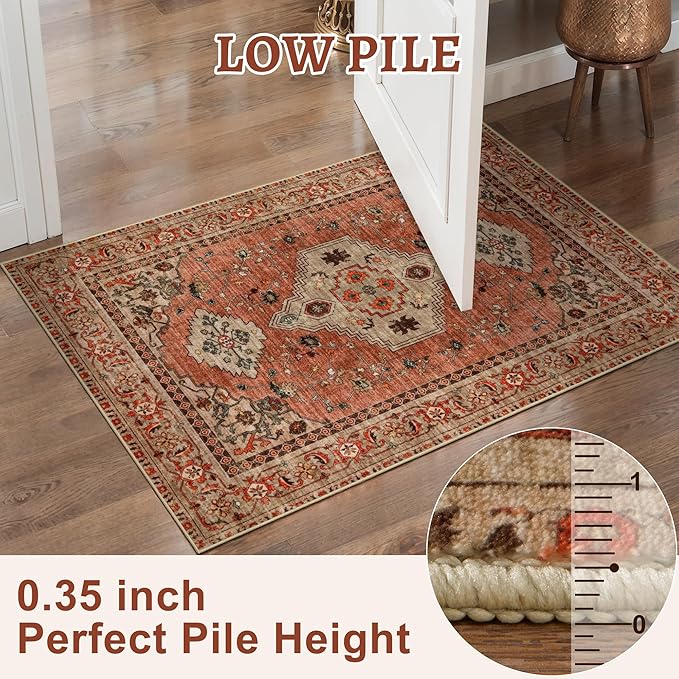 Tangsoo Boho 6x9 Area Rug Washable for Living Room, Vintage Rug Indoor Non Slip Large Area Rugs, Print Distressed Terracotta Carpet, Soft Low Pile Rug Foldable Floor Rugs for Bedroom Dining Room Dorm