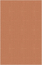 IOHOUZE Small Area Rug 2x3 Washable Woven Rugs for Entryway Non Slip Rubber Backed Front Door Rugs Indoor Doormat Throw Rug Floor Carpet for Entrance Kitchen, Rustic Orange