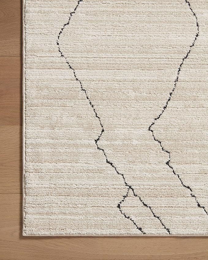 Loloi Darby Collection DAR-03 Sand/Charcoal 2'-7" x 4' Accent Rug