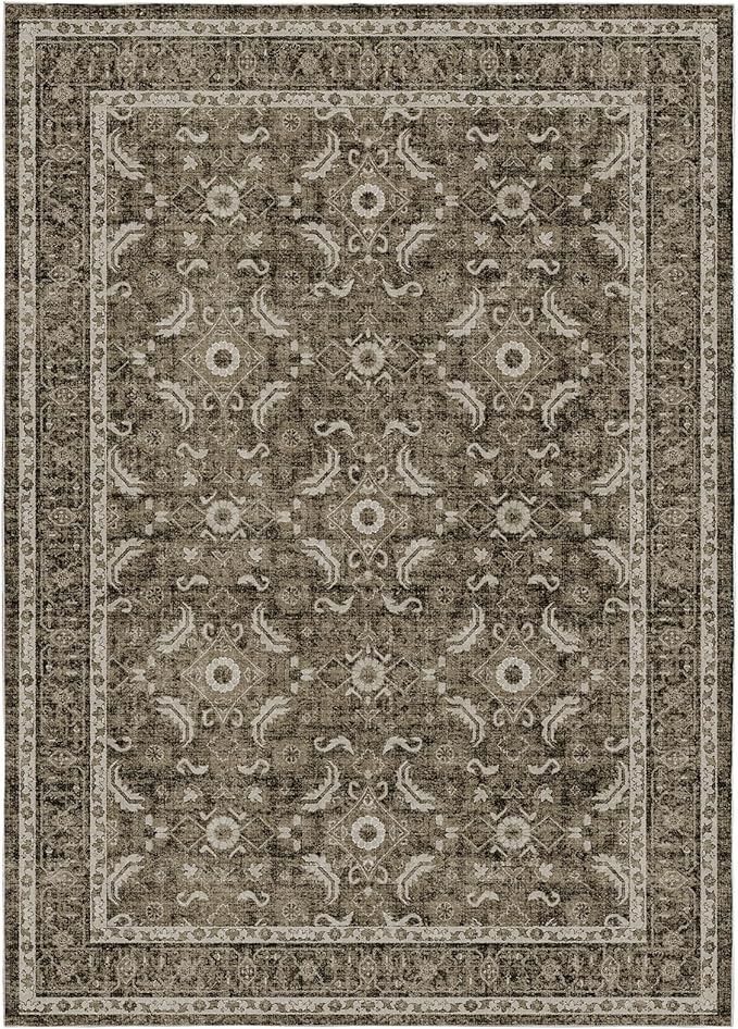 WITSHOCK Living Room Area Rugs 5x8: Soft Non-Slip Backing Washable Rugs Vintage Large Carpet for Bedroom Office Dining Room Kitchen Stain Resistant Home Decor Rug, Dark Brown