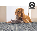FH Home Flat Woven Outdoor Rug - Waterproof, Easy to Clean, Stain Resistant - Premium Polypropylene Yarn - Striped Boho - Large Patio, Deck, Sunroom - Amman - Blue - 7ft 8in x 9ft 8in