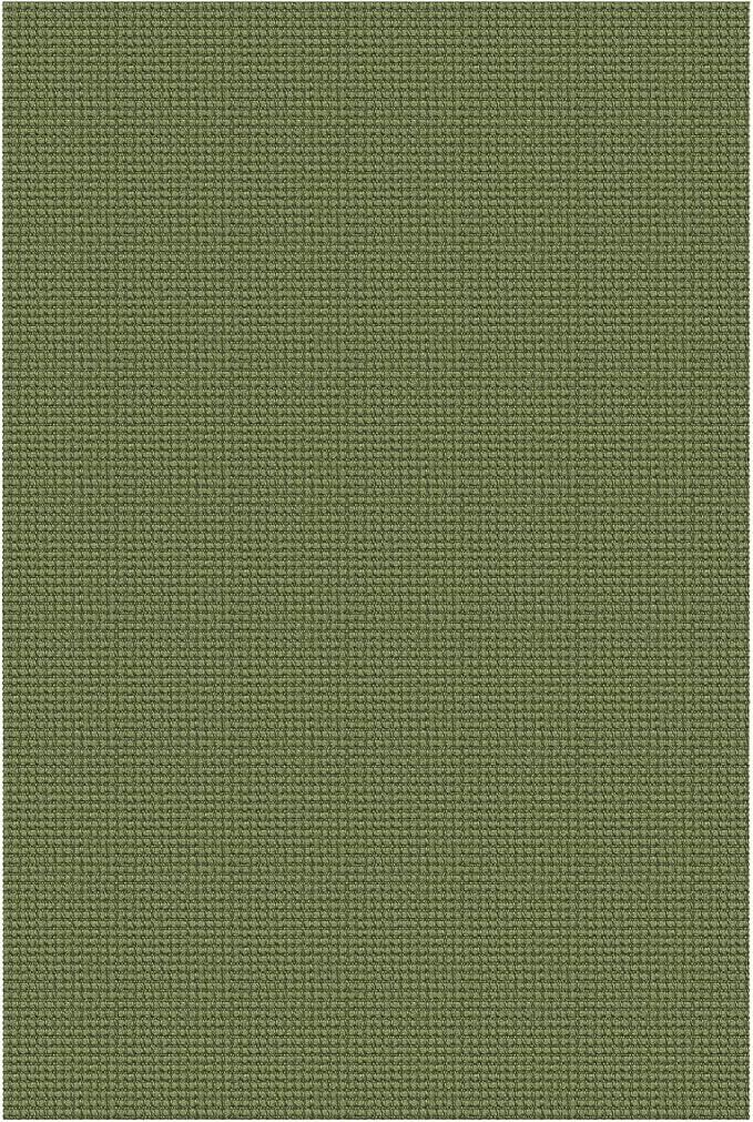 Braided Area Rug 5x7 Ft Washable Rugs for Living Room Non Slip Bedroom Rugs Boho Dining Room Rug Cotton Living Room Woven Floor Carpet for Nursery Playroom, Green