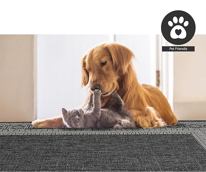 FH Home Flat Woven Outdoor Rug - Waterproof, Easy to Clean, Stain resistant - Premium Polypropylene Yarn - Bordered Moroccan - Patio, Deck,Porch,Balcony,Laundry - Accra - Charcoal - 3ft 11in x 5ft 6in