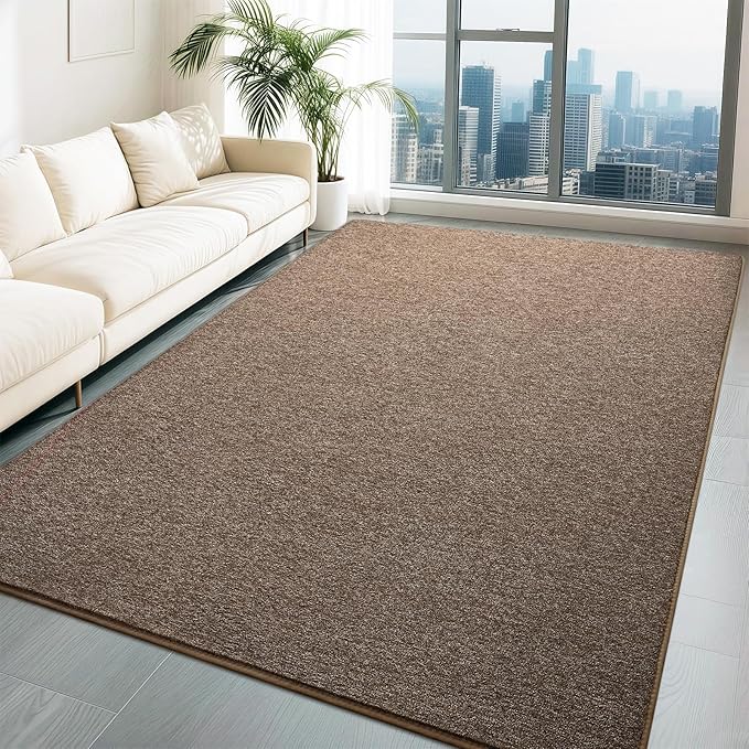 HQAYW 4x6 Area Rugs for Living Room Bedroom, Modern Thickened Memory Foam Soft Rug, Indoor Low Pile Minimalist Washable Non Slip Carpets for Kids Girls Boys Nursery Dorm Home Decor, Brown