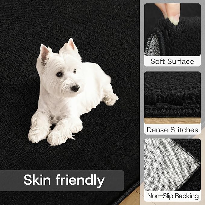 Solid Washable Area Rug - 3x5 Medium Pile Faux Cashmere Carpet for Living Room Bedroom, Black