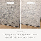 Loloi Amber Lewis Alie Collection ALE-05 Charcoal/Beige 5'-3'' x 7'-9'', .13'' Pile Height, Area Rug