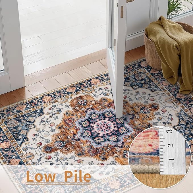 Ciicool Small Area Rug, 2x3ft Boho Rug, Ultra Soft Entry Rugs for Entryway, Non-Slip Washable Rugs Oriental Low-Pile Indoor Mat Floor Carpet for Entrance Bedroom Kitchen Bathroom Foyer Decor