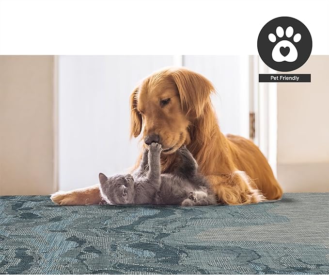 FH Home Outdoor Rug - Waterproof Easy to Clean Stain Resistant - Patio Indoor Outdoor Porch Deck Balcony Entryway - Modern Abstract - Freeport - Blue - 5ft 2in x 7ft 6in