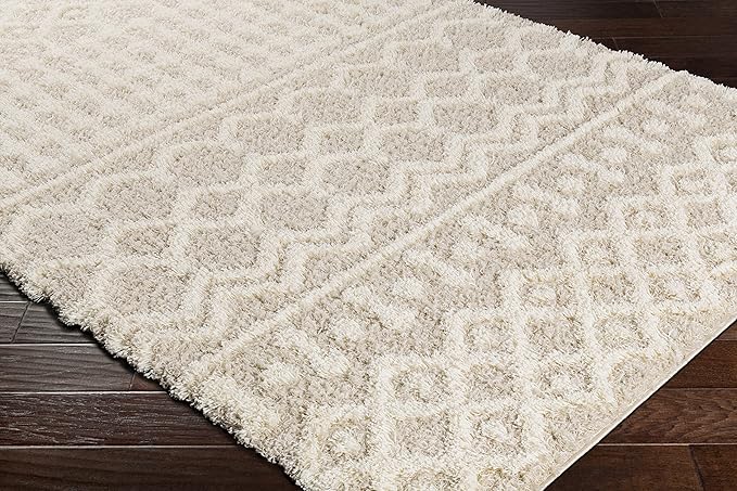 Livabliss Hapsburg Moroccan Shag Area Rug, 7'10" x 10'2, Beige