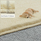 Solid Washable Area Rug - 3x5 Medium Pile Faux Cashmere Carpet for Living Room Bedroom, Light Yellow