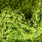Unique Loom Solid Shag Collection Area Rug (2' 6" x 13' 1" Runner, Grass Green)