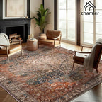 6x9 Washable Area Rug Boho Medallion Distressed Design Non-Shedding Easy Care Ideal for High Traffic Areas in Rugs for Living Room Bedroom Office Kitchen Large Carpet