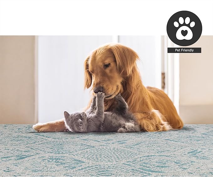 FH Home Outdoor Rug - Waterproof Easy to Clean Stain Resistant - Patio Indoor Outdoor Porch Deck Balcony Entryway - Distressed Farmhouse - Granada - Aqua - 6' x 9'