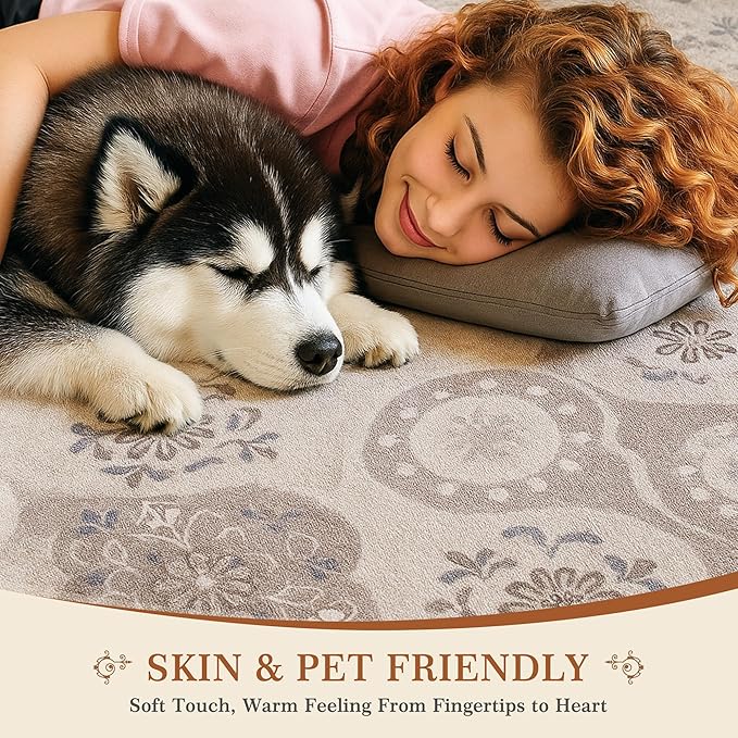 EnHomee Washable Area Rugs 4x6, Soft Area Rug for Living Room Bedroom, Boho Non Slip Low Pile Stain Resistant Washable Rug Large Carpet for Dining Room,Easy to Clean Living Room Rug, Khaki