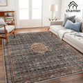 6x9 Washable Area Rug Boho Medallion Distressed Design Non-Shedding Easy Care Ideal for High Traffic Areas in Rugs for Living Room Bedroom Office Kitchen Large Carpet