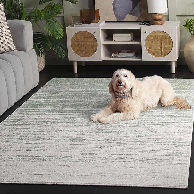 SAFAVIEH Area Rug 6x9 - Adirondack Collection - Sage & Ivory, Modern Ombre Design, Non Shedding & Easy to Clean, Ideal for Living Room, Bedroom, Office, Dining Space (ADR113X)