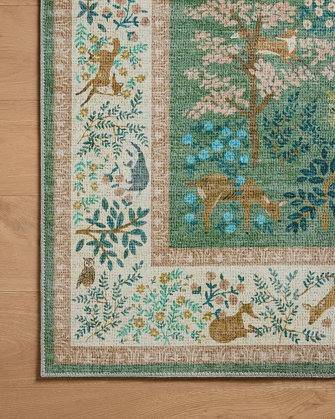 Loloi Rifle Paper Co. Canopy Collection CNP-02 Sage/Blush 2'-3" x 3'-9" Accent Rug