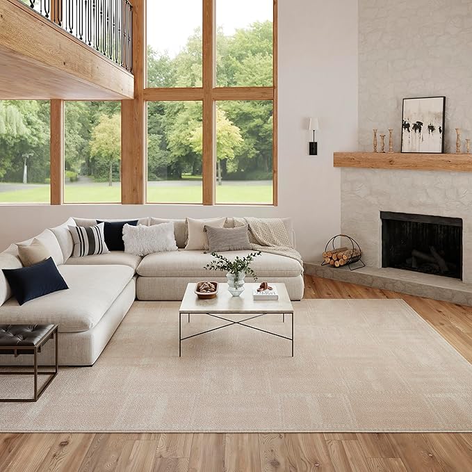 Nourison Nordic Taupe 8' x 10' Scandinavian Area Rug - Easy Cleaning, Non Shedding, Bed Room, Living Room, Dining Room, Kitchen (8' x 10')