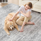 Area Rug Living Room Rugs - 8x10 Abstract Large Soft Indoor Washable Rug Neutral Modern Low Pile Carpet for Bedroom Dining Room Farmhouse Home Office - Vintage Grey