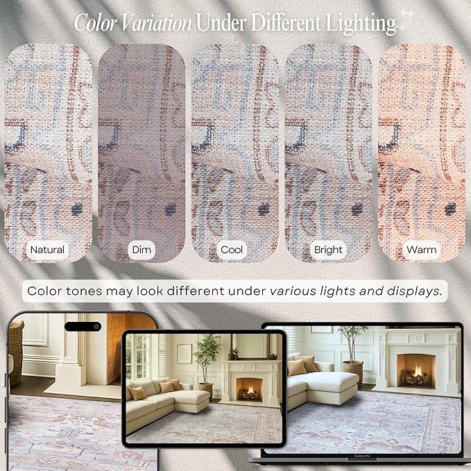 Fame Rugs Turkish Rug. Washable Vintage Oriental Antique Inspired Traditional Doormat Small Modern Area Rugs Luxury Entryway Entry Bedroom Bathroom Kitchen (403CC, 2'5 x 5')
