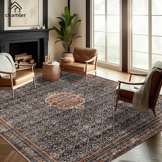 Washable Area Rug 9x12 Boho Chic Medallion Distressed Design Non-Shedding Easy Care Ideal for High Traffic Areas in Rug for Living Room Bedroom Office Coffee Table Large Carpet