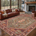 Ciicool Washable 5x7ft Rugs for Living Room Non-Slip Indoor Area Rug Large Low-Pile Mat Floor Carpet Vintage Rug for Bedroom Dinning Foyer Decor