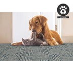 FH Home Outdoor Rug - Waterproof Easy to Clean Stain Resistant - Patio Indoor Outdoor Porch Deck Balcony Entryway - Geometric Modern - Budapest - Aqua - 7ft 8in x 9ft 8in