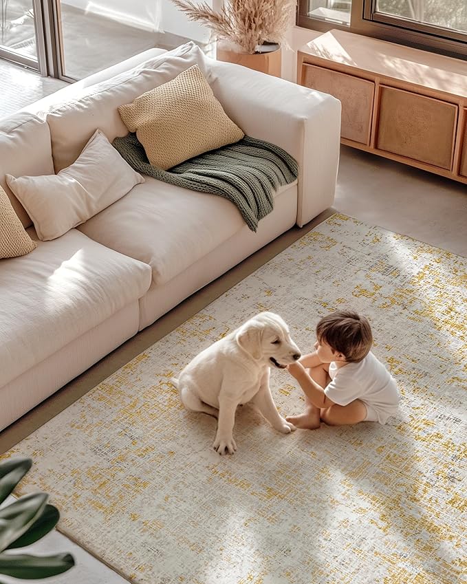 ILANGO Area Rug 3x5 for Living Room Bedroom Washable Rugs with Modern Non Slip Easy Care Floor Mats for Kitchen Entryway High Traffic Area Floor Carpet for Decor Doorway Laundry