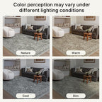 Bavni Area Rugs for Living Room, 5x7 Area Rugs Non-Slip Washable，Ultra-Thin Aesthetic Boho Rug for Bedroom Dinning Room Office, Gery