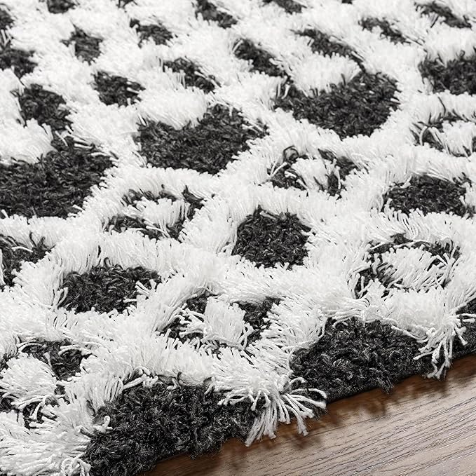 Livabliss Hapsburg Moroccan Shag Area Rug,6'7" x 9'6",Black/White