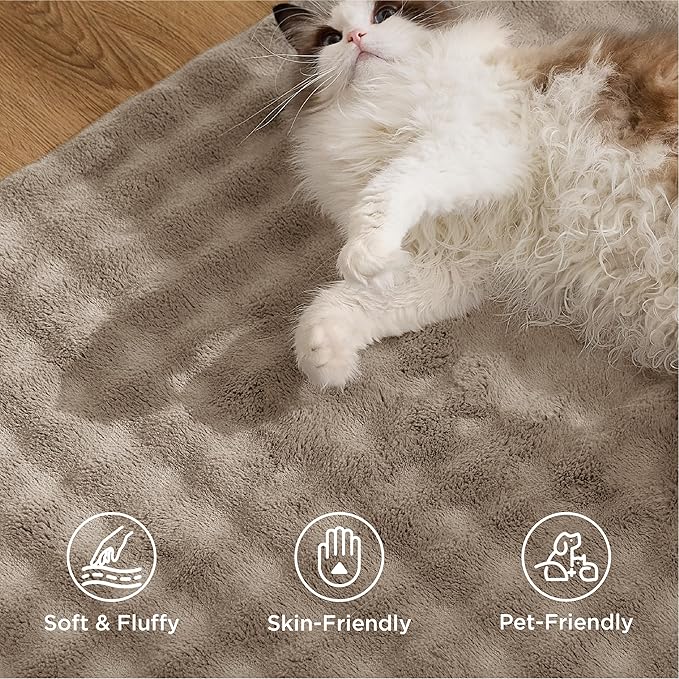 Bedsure 6x9 Fluffy Area Rugs for Living Room, Machine Washable Rugs, Non-Slip Backing, Non-Shedding, Pet Friendly Throw Rug for Bedroom Dining Room, Brown