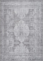 Bloom Rugs Washable 5' x 7' Rug - Ivory/Silver Gray Traditional Area Rug for Living Room, Bedroom, Dining Room, and Kitchen - Exact Size: 5' x 7'