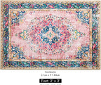 Small Area Rug 2x3 Pink Boho Bathroom Rug for Entryway Kitchen Blush Thin Foldable Vintage Throw Rug Low Pile Non Slip Washable Indoor Carpet