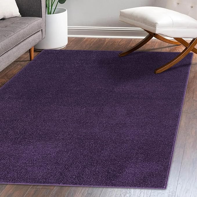 Eyely UES100N-3 Supersoft Haze Solid Low-Pile Indoor Area Rug Casual;Contemporary;Solid;Traditional, Bedroom, Kitchen, Living Room, Easy-Cleaning, Non-Shedding, 3 X 5, Purple