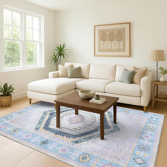 Fame Living Washable Area Rug. Modern Farmhouse. Vintage. Turkish. Bohemian. Distressed. Oriental. Traditional. Rugs for Living Room. Dining. Bedroom. Office. Entryway. Foyer. (856PBl, 9' x 12')