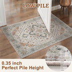 Tangsoo 4x6 Area Rug for Living Room, Washable Vintage Indoor, Distressed Grey Carpet for Bedroom, Non Slip Dining Room Rugs, Soft Low Pile Rugs Foldable Floor Rug for Dorm Bedside Bathroom