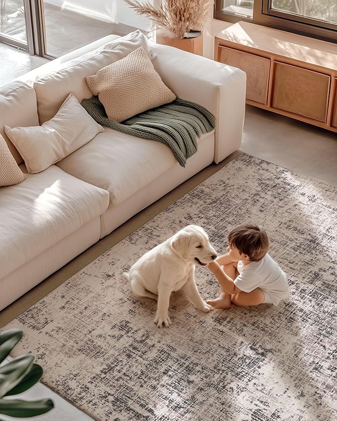 ILANGO 5x7 Modern Area Rug for Living Room Ultra Soft Machine Washable Lightweight Kid & Pet Friendly Stain Resistant Non-Shedding Low Pile Carpet for Bedroom Dining Room Home Office Mat