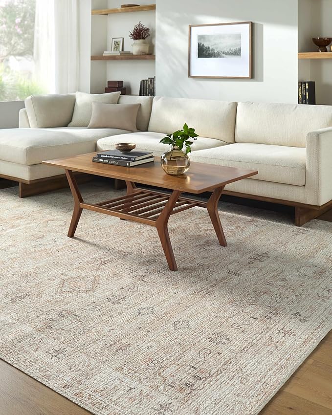 Hauteloom Nakia Living Room, Bedroom Area Rug - Traditional - Beige, Taupe, Ivory - 7'9" x 10'