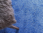 Unique Loom Solid Shag Collection Area Rug (2' 7" x 10' Runner, Periwinkle Blue)