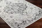 Livabliss Odelia Vintage Bohemian Area Rug,2' x 3',Black
