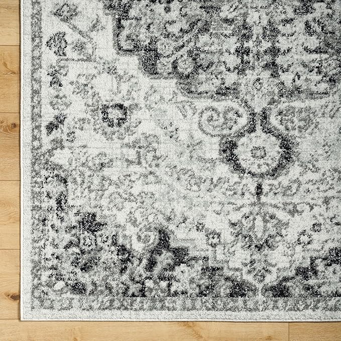 Livabliss Odelia Vintage Bohemian Area Rug,2' x 3',Black