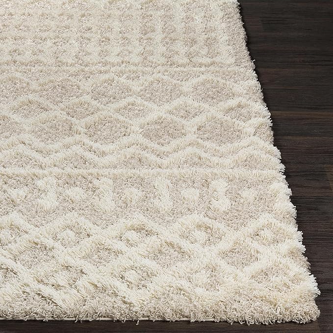 Livabliss Hapsburg Moroccan Shag Runner Area Rug, 2'7" x 7'3", Beige