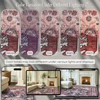 Turkish Rug. Washable Vintage Oriental Antique Inspired Traditional Doormat Small Modern Area Rugs Luxury Entryway Entry Bedroom Bathroom Kitchen (404RR, 2'5 x 9'8)