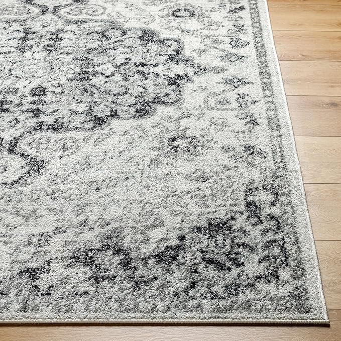 Livabliss Odelia Vintage Bohemian Runner Area Rug,2'7" x 7'3",Black