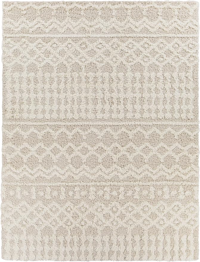 Livabliss Hapsburg Moroccan Shag Area Rug, 7'10" x 10'2, Beige