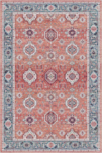 Dripex Vintage Washable Area Rug - 4x6 Distressed Rugs for Living Room Bedroom Oriental Medallion Floral Print Carpet Low-Pile Indoor Soft Non-Slip Accent Rug Farmhouse Office Home Decor