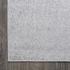 JONATHAN Y Haze Solid Low-Pile Light Gray Indoor Area Rug 10x14, Coastal,Bohemian,Minimalist,Classic, Easy-Cleaning for Living Room,Bedroom,Kitchen,Pet Friendly,Non-Shedding (SEU100K-14)