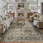 Vintage Area Rug 6x9 Brown Washable Living Room Large Carpet Non Slip Bedroom Indoor Office Low Pile Traditional Distressed Retro Accent Rug for Dining Room Kitchen