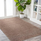 Eyely UES100J-14 Supersoft Haze Solid Low-Pile Indoor Area Rug, Coastal, Bohemian, Minimalist, Classic, Casual for Bedroom,Kitchen,Living Room,Non Shedding,Easy-Washing, Brown, 10 X 14