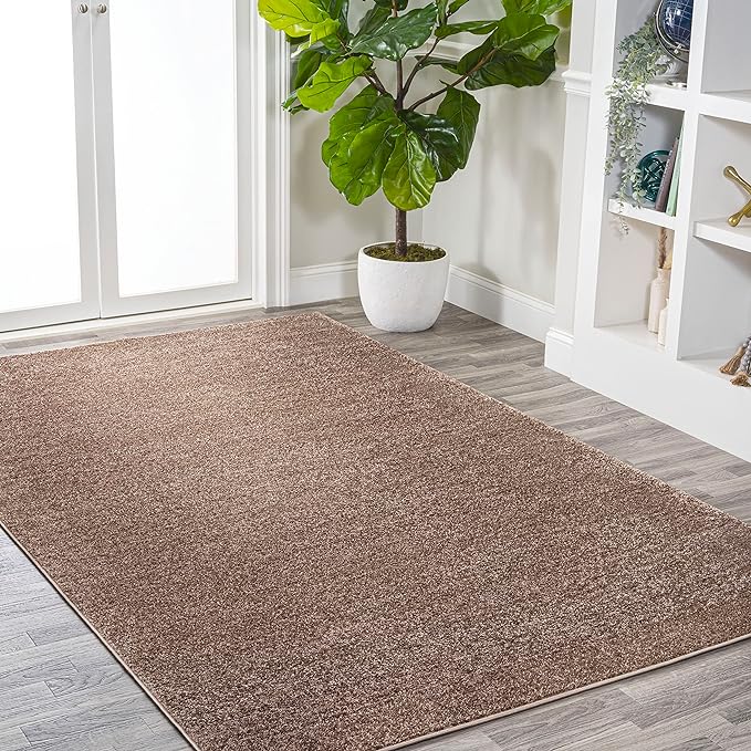 Eyely UES100J-4 Supersoft Haze Solid Low-Pile Indoor Area Rug Casual;Contemporary;Solid;Traditional, Bedroom, Kitchen, Living Room, Easy-Cleaning, Non-Shedding, 4 X 6, Brown